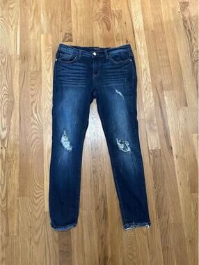 Judy Blue Distressed Skinny Jeans 11/30